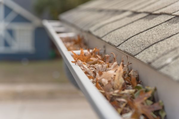 Leaf Barrier Installation in Pickens